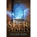 Seer of Souls: (The Spirit Shield Saga Book One)