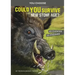 Could You Survive the New Stone Age?: An Interactive Prehistoric Adventure