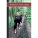 Sonrise Stable: Follow Our Leader