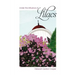 Under the Influence of Lilacs