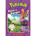 Race to Danger (Pokémon: Chapter Book)