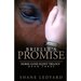Brielle's Promise: Horse Gone Silent Trilogy Book 3