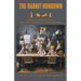 Rabbit Rundown: A Data Engineers Guide To Rabbitats, Rabbitology, and Rabbitisms