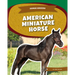 American Miniature Horse