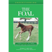 Understanding the Foal: Your Guide to Horse Health Care and Management