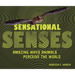 Sensational Senses: Amazing Ways Animals Perceive the World