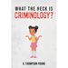 What the HECK is Criminology?