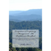 Competence & Competency Management - The Practitioners Handbook: Develop Organizational Competence & Individual Competencies