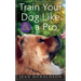 Train Your Dog Like a Pro