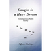 Caught in a Hazy Dream: Contemporary Tanka Poetry