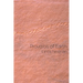 Proverbs of Earth