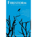 Firestorm: Vignettes From The Epicenter of the Tubbs Firestorm - One of the Most Destructive Wildfires in California History