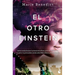 El Otro Einstein