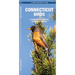 Connecticut Birds: A Folding Pocket Guide to Familiar Species
