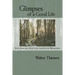 Glimpses of a Good Life: Rhythms and Practices that Invite Wholeness