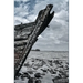The Anchor Holds: Poems from the Shipwreck