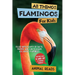 All Things Flamingos For Kids: Filled With Plenty of Facts, Photos, and Fun to Learn all About Flamingos