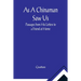 As A Chinaman Saw Us: Passages from His Letters to a Friend at Home