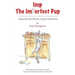 Imp The Imperfect Pup: Lessons on Being Good Enough