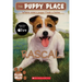Rascal (the Puppy Place #4): Volume 4