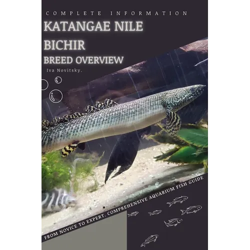 Katangae Nile Bichir: From Novice to Expert. Comprehensive Aquarium Fish Guide