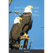 Part Two: Miracle In The Pines - An Eagles Love Story