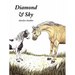 Diamond & Sky
