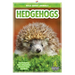 Hedgehogs