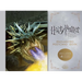 Harry Potter and the Goblet of Fire Enchanted Postcard Book
