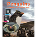 Penguins: A Compare and Contrast Book
