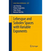 Lebesgue and Sobolev Spaces with Variable Exponents