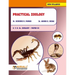 Practical Zoology