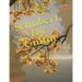 Schubert for Guitar