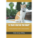 Is That A Rat On The Mat?: Teaching Beginning Readers (Homeschooling)