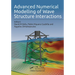 Advanced Numerical Modelling of Wave Structure Interaction