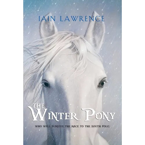 The Winter Pony