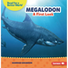 Megalodon: A First Look