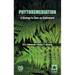 Phytoremediation: A Strategy to clean up Environment