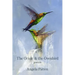The Oriole & the Ovenbird