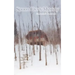 Spoon Creek Mystery