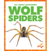 Wolf Spiders