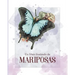 Un Libro Ilustrado de Mariposas: para regalar a niños e hijos o personas adultas con demencia senil o pérdida de memoria