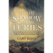 In the Shadow of the Furies: A Novel of the Second Punic War