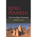 King Piankhi: The First Black Pharoah