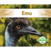 Emu