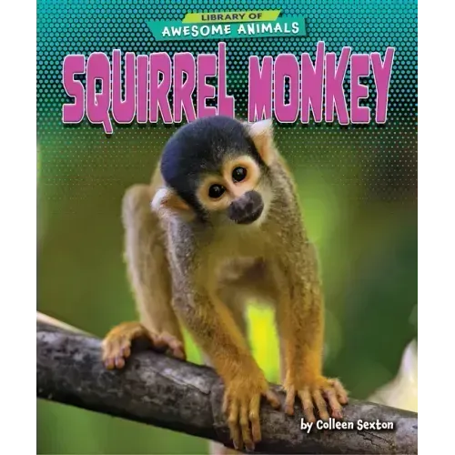 Squirrel Monkey