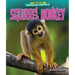 Squirrel Monkey