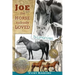 Joe -- the Horse Nobody Loved