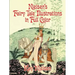 Nielsen's Fairy Tale Illustrations in Full Color