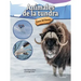 Animales de la Tundra: Tundra Animals